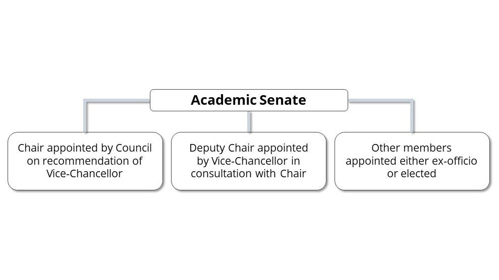 学术评议会主席由校董会经校长推荐任命。副主席由校长与主席协商后任命。其他成员由当然任命或选举产生。