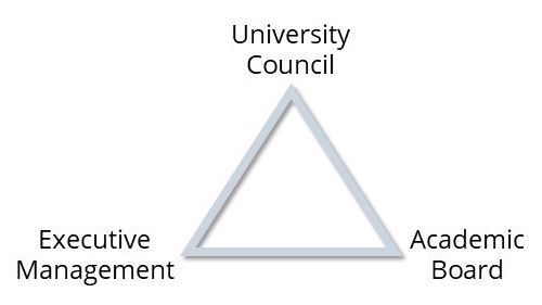 大学治理三角形包括大学校董会、学术委员会和行政管理，每一个都在一个三角形的点上。