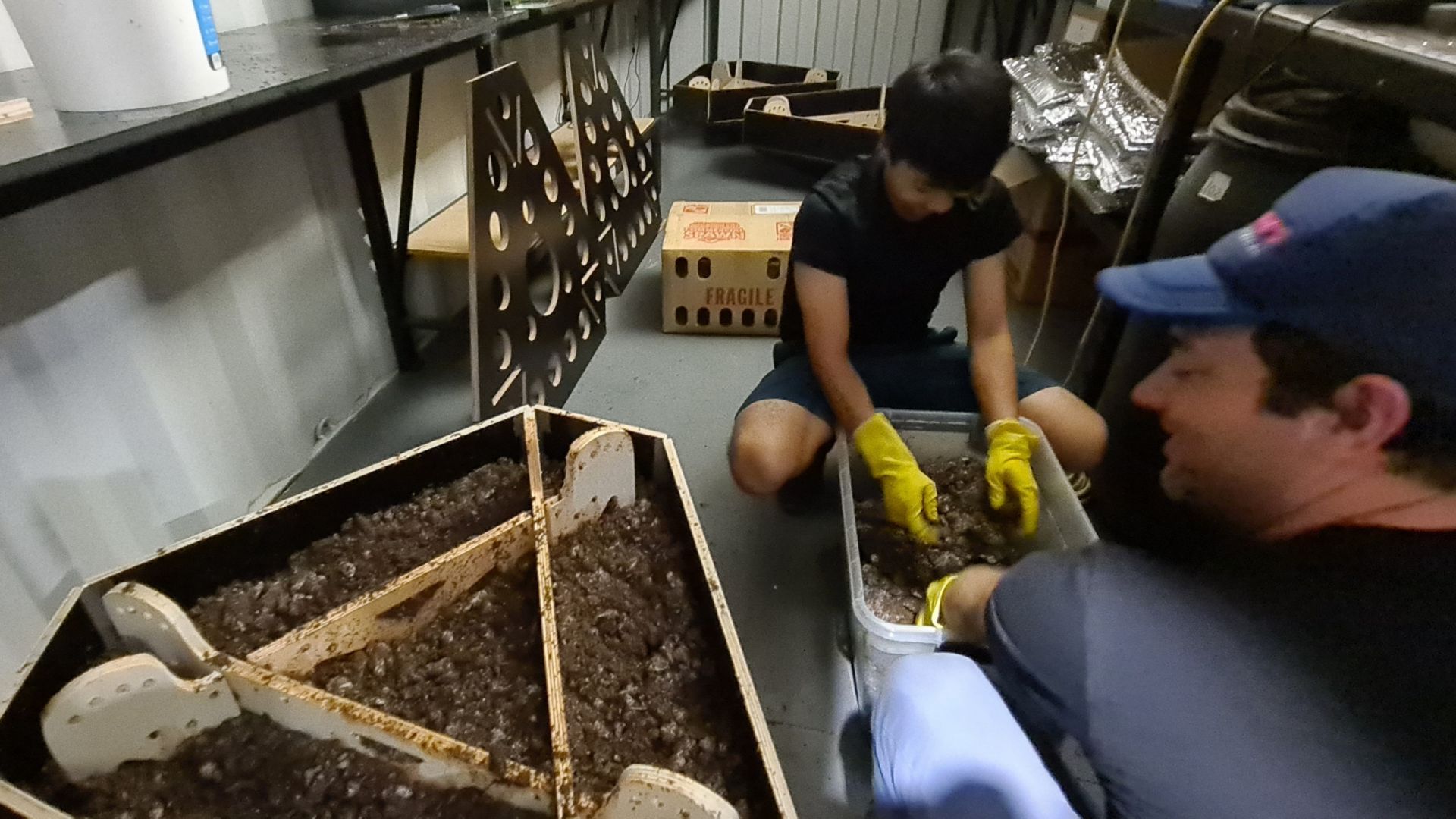 两个人穿着黄色橡胶手套使用泥土混合物在实验室环境