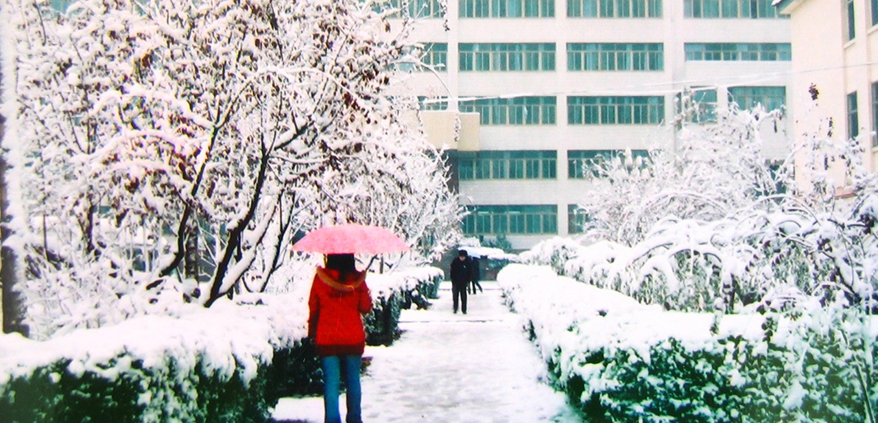 山东科技大学校园里，学生们在雪地里行走