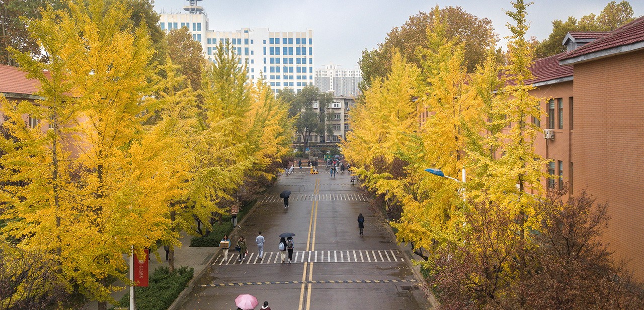 山东科技大学的学生们在校园里散步
