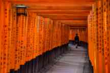 女人走过故事Inari神社