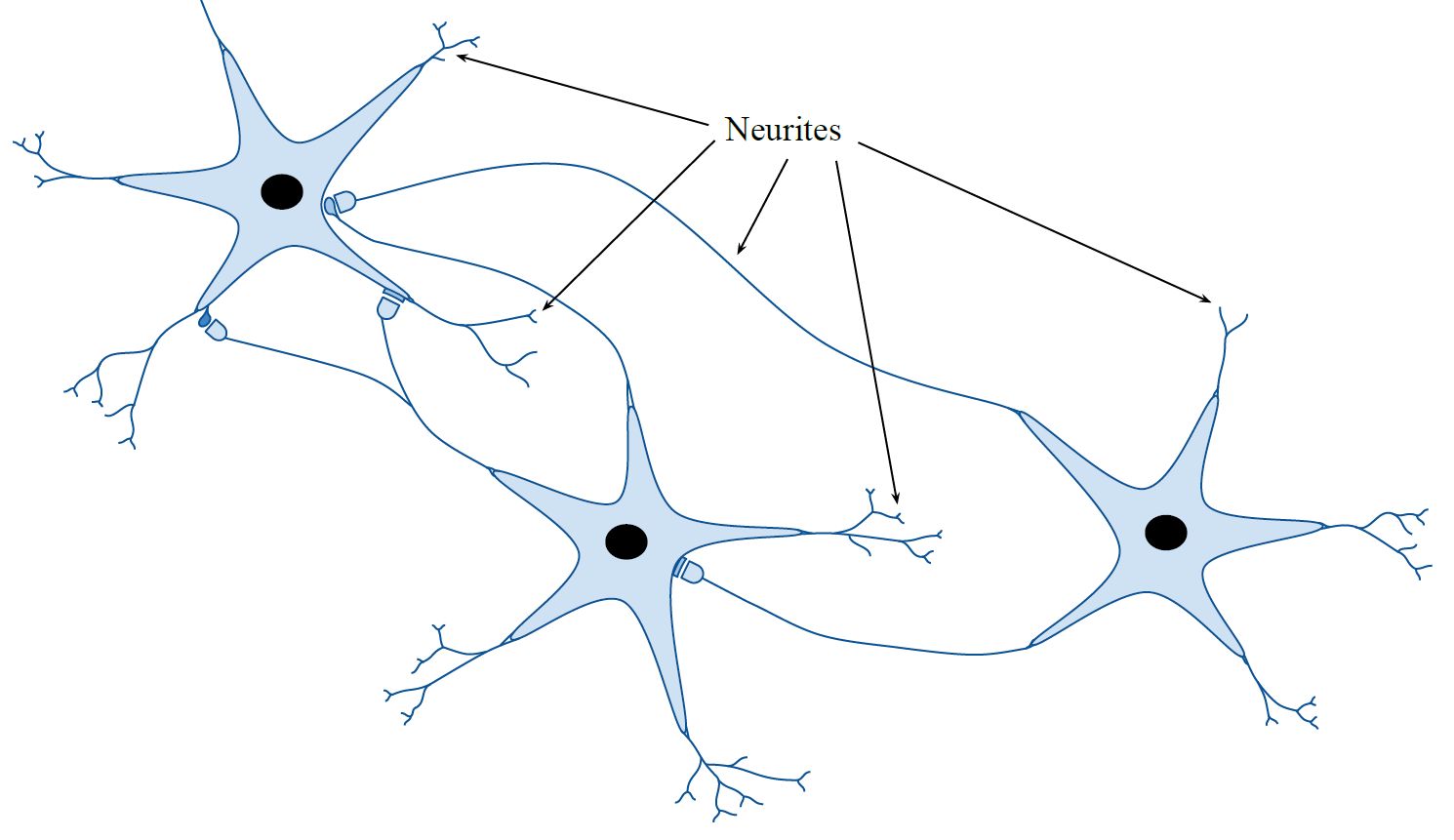 绘制图的科学研究蓝色星形连接的数据行