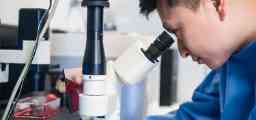 在显微镜下观察细胞生长，用于生物医学研究。