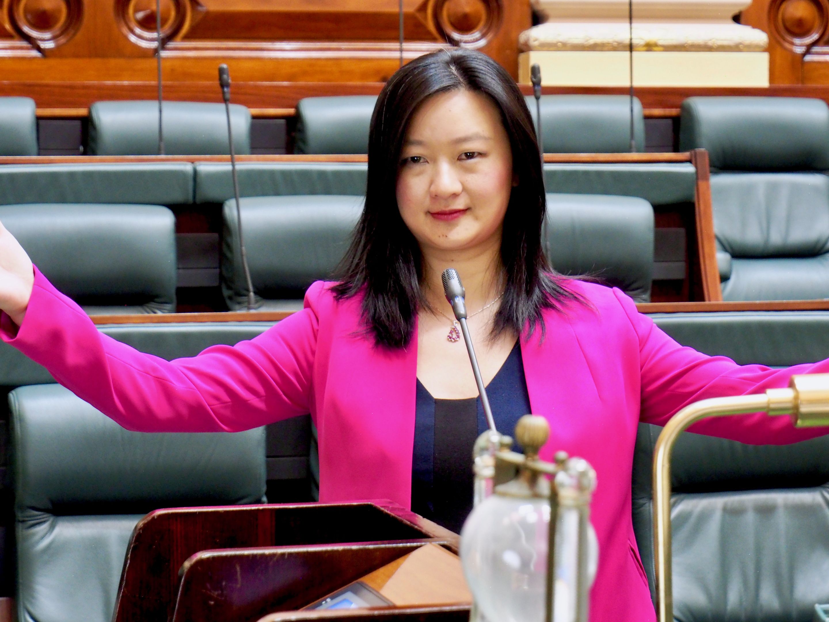 维萨蔡站在议会怀里伸出宽,穿着粉红色夹克